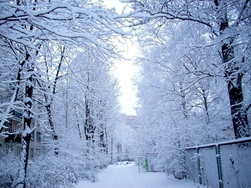 зима