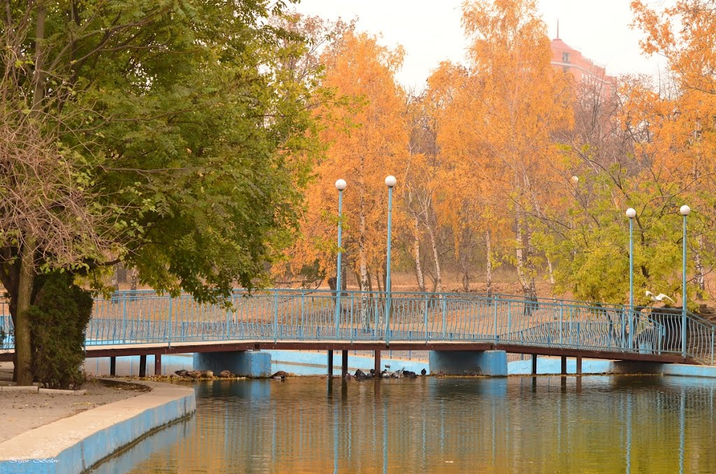 Одесская осень